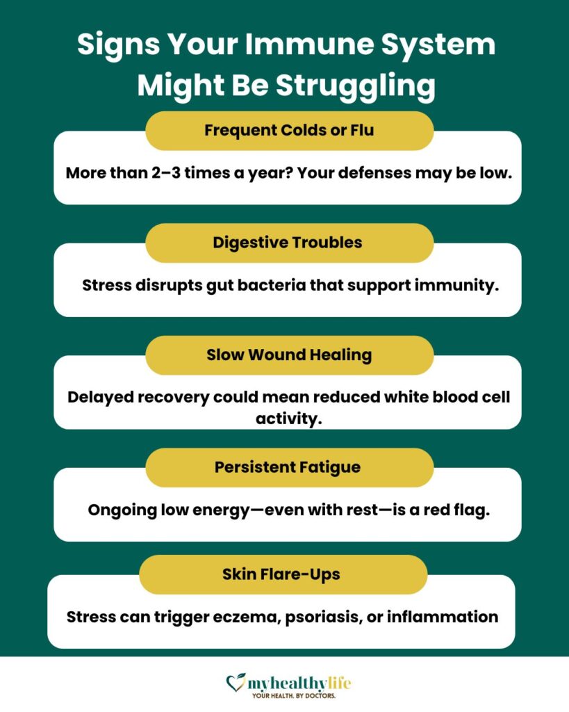 Signs Your Immune System Might Be Struggling